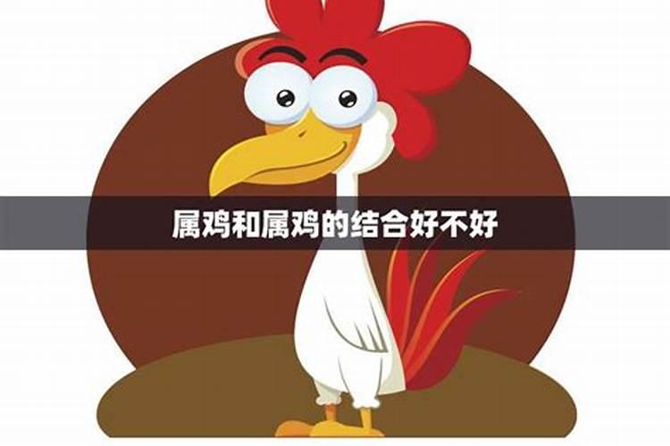 属鸡和属鸡共事好不好