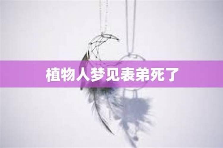 八字两寅合亥会怎么样