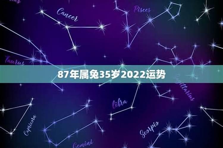 属兔之人2022年每月运势