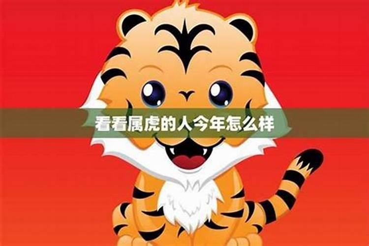 2023属虎全年运势运程如何