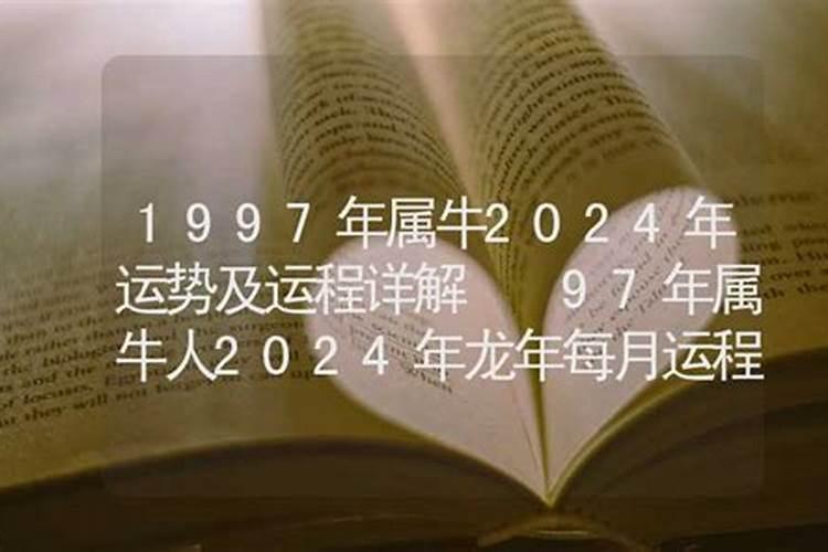 属牛1997年运势及运程