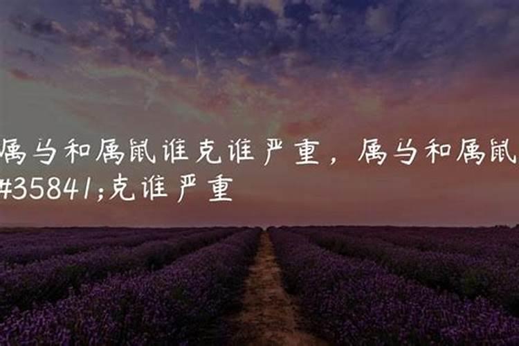 属鼠的克什么属性