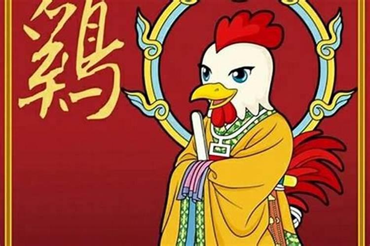 鼠年鸡的运势2021运势