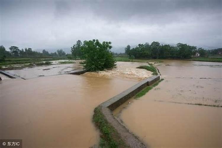 梦见大水把道路淹没