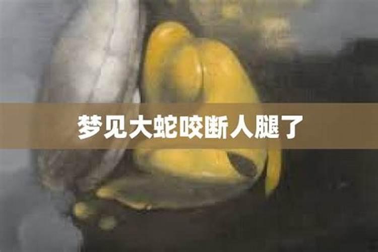 梦到大蛇被咬了