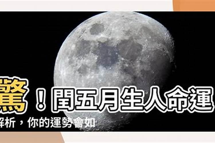 犯太岁2023生肖是什么呢