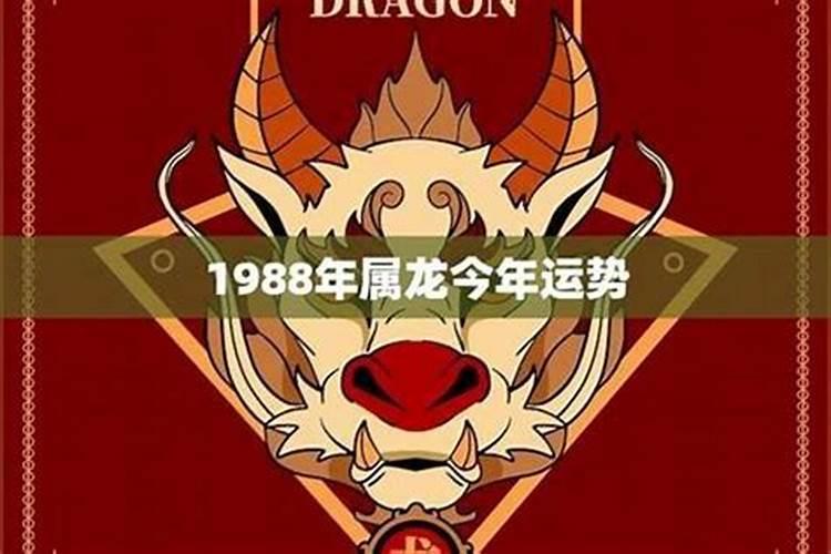 1994年属龙2021年运势及运程