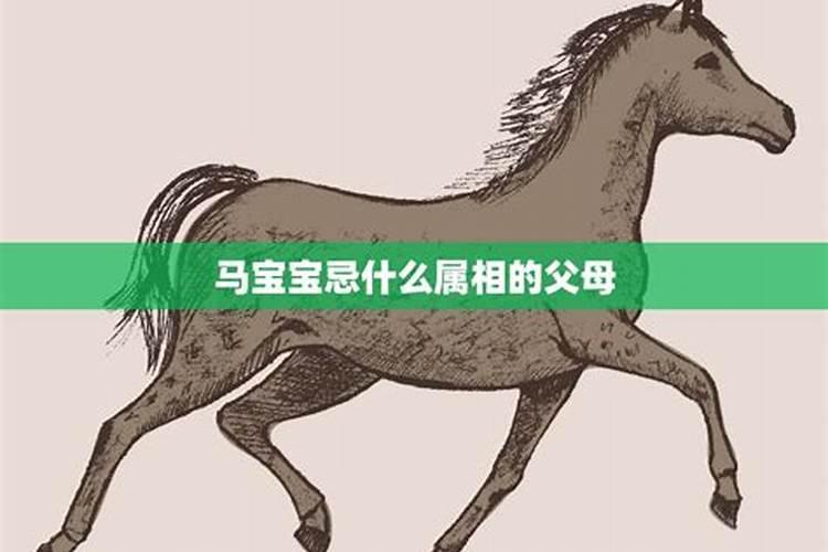 蛇宝宝忌什么属相的父母