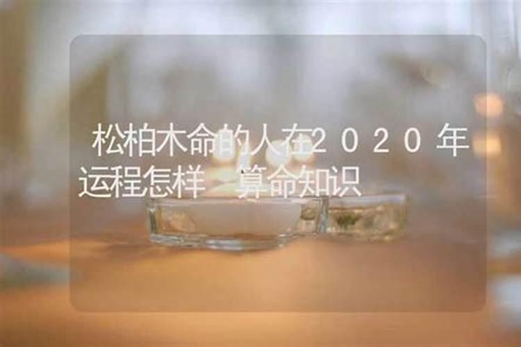 木命人在2021年运势