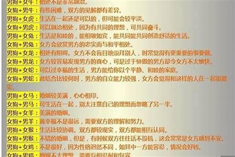 属猪的合适属相