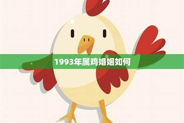 1993属鸡的命运与婚姻