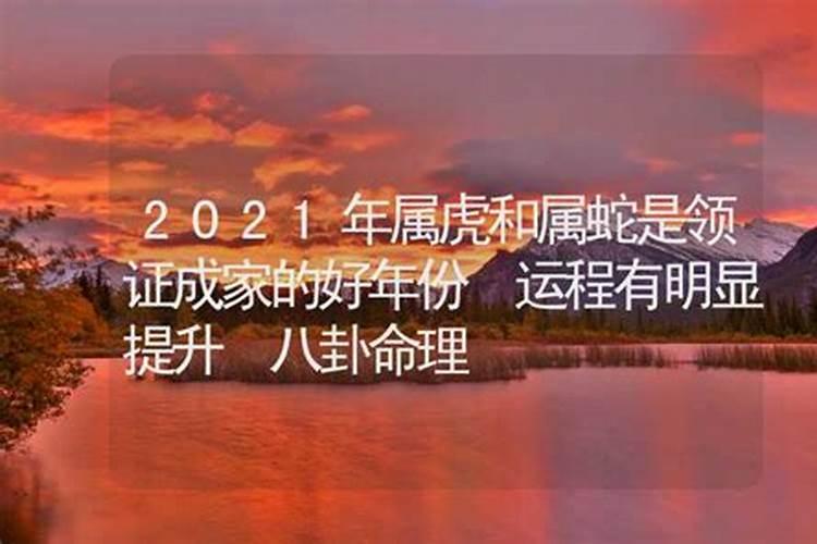 2021年属虎和属蛇的黄道吉日