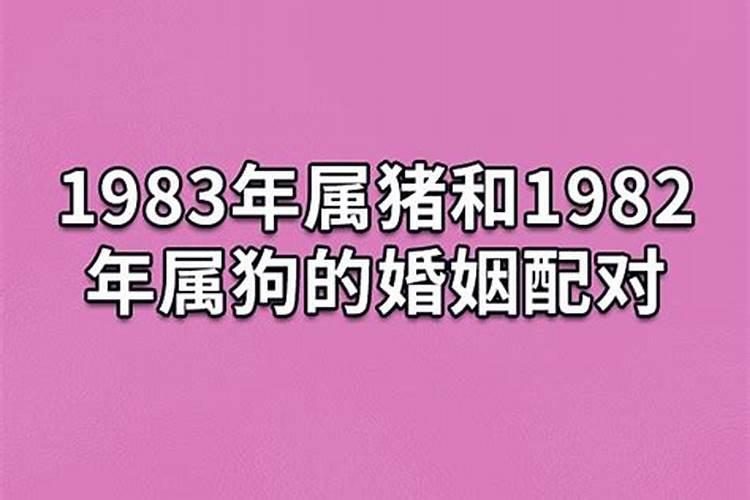 1983属猪和1982属狗的婚姻怎么样