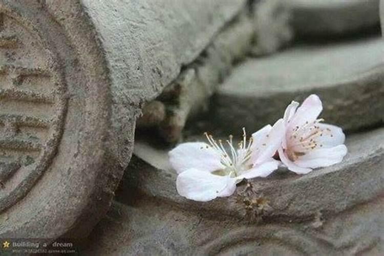 第二个鬼节日是几月几日