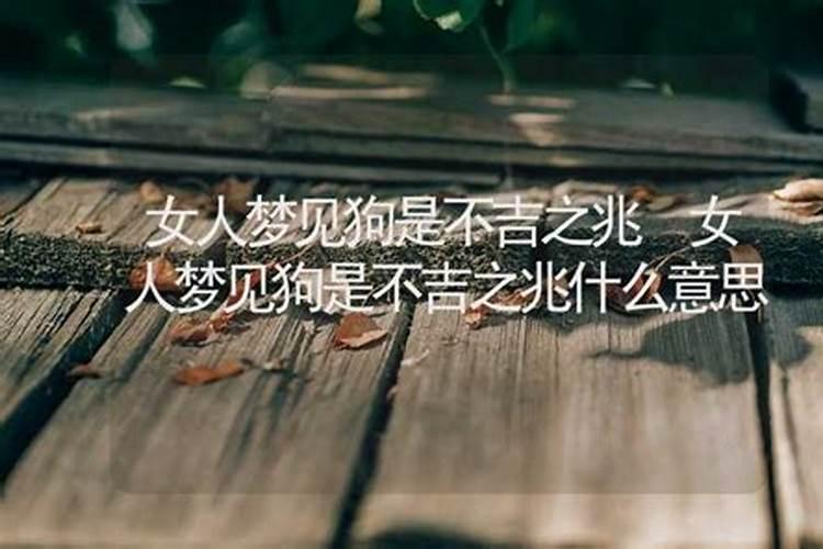 女人梦见狗是不吉之兆