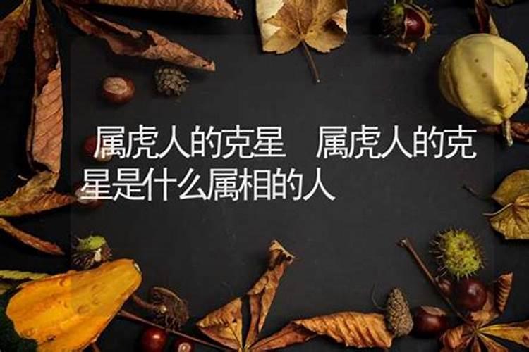 属虎的人克星是属什么