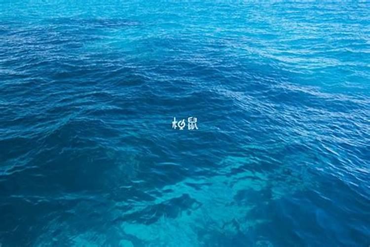 孕妇梦见大海海浪翻滚