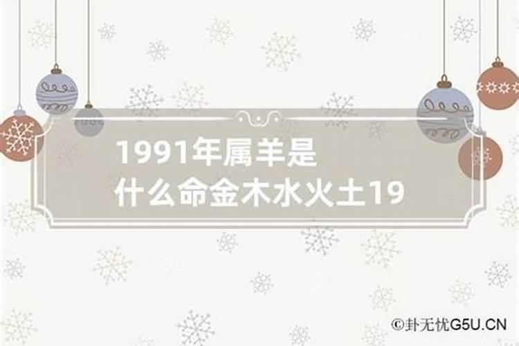 1991年的羊属什么命