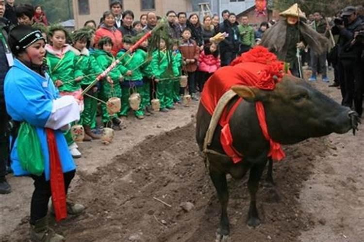 立春下雪祭祀