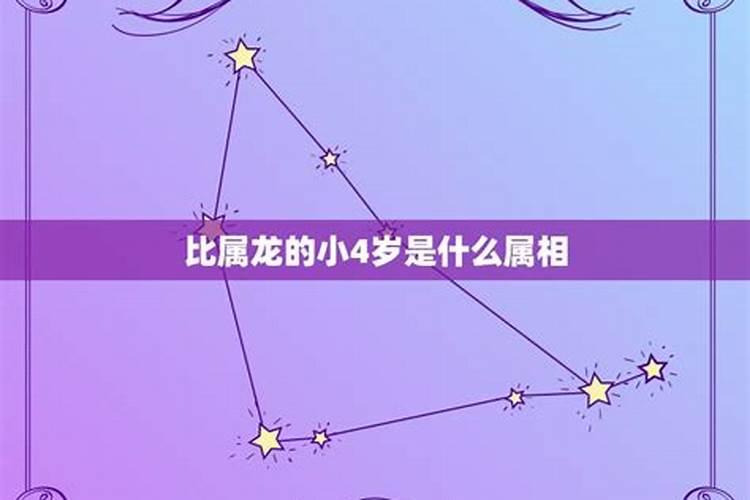 比龙小3岁是属什么的