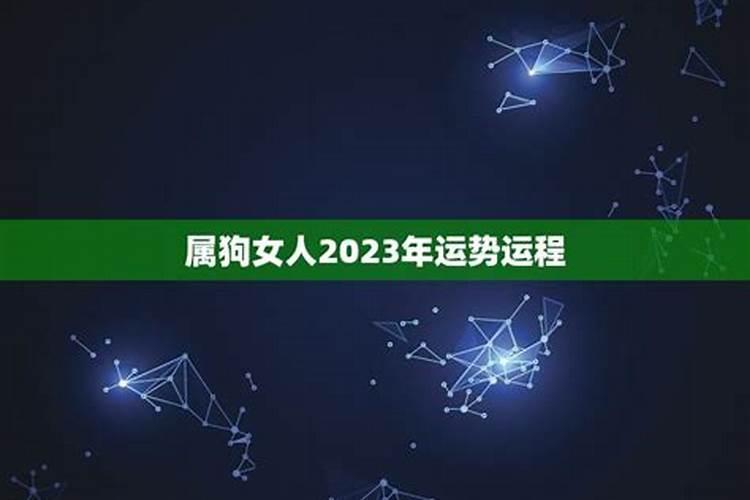 属狗龙人2023年运势运程