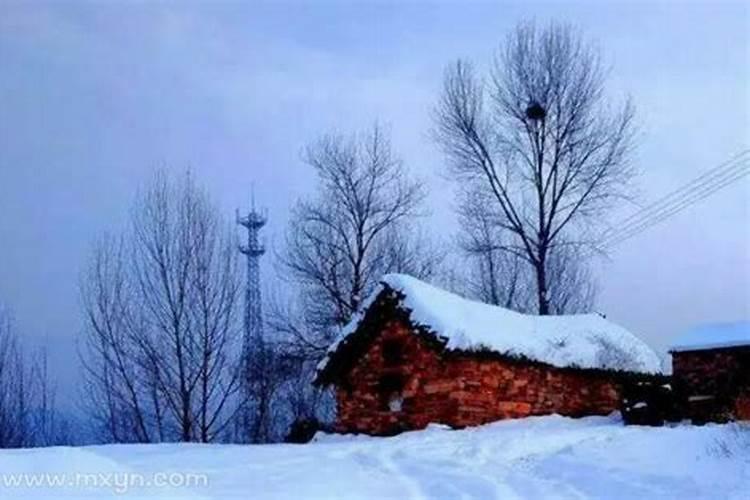 梦见大雪满地很厚很白