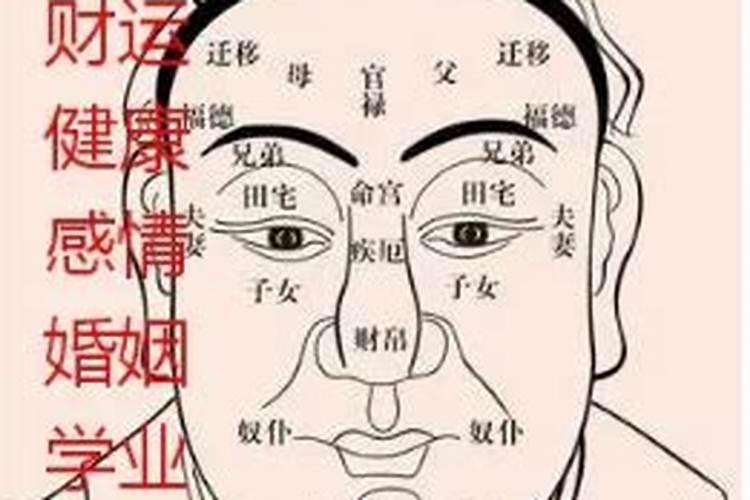 1975男的今年运势如何看