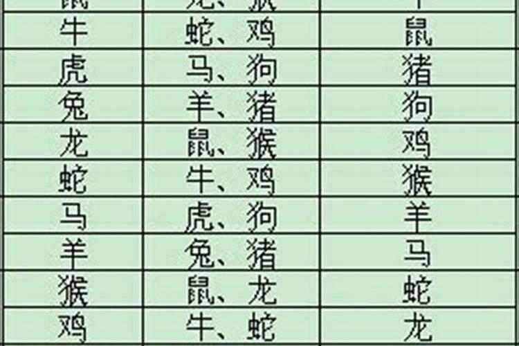 属猪的三合6合贵人