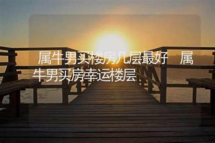 属牛买房什么楼层合适