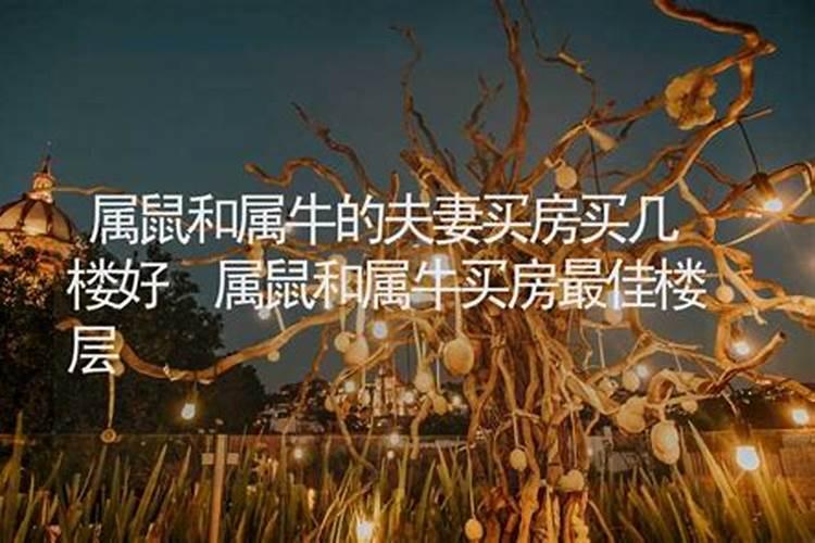 属牛买楼买哪个楼层好