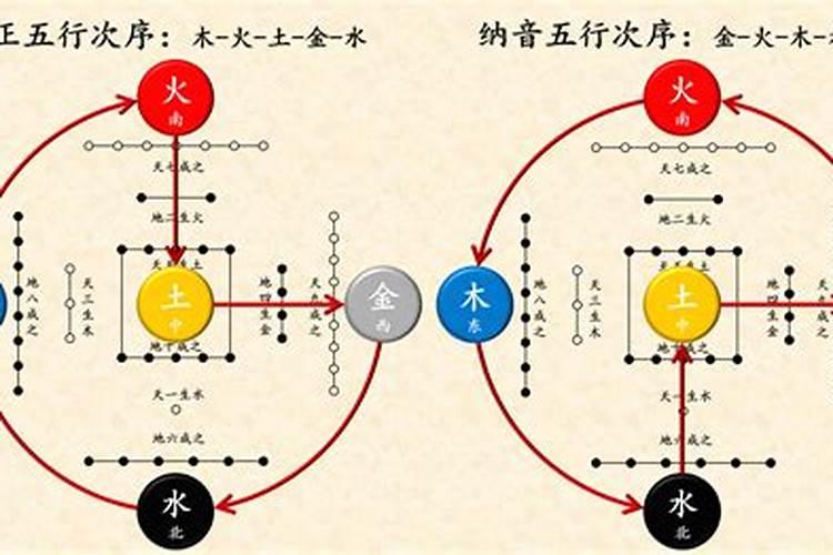 什么是正体五行与纳阴五行