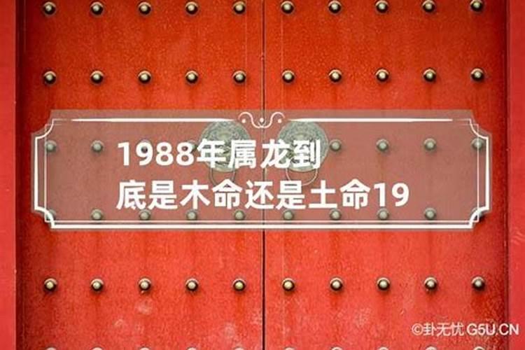 1988属龙人是土命还是木