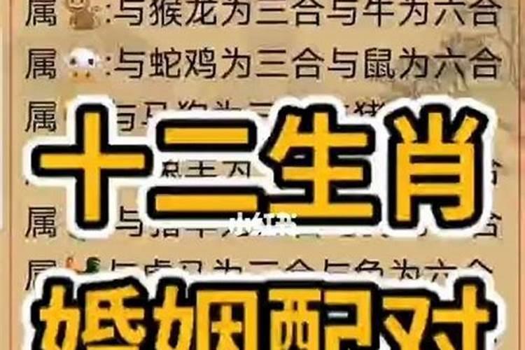 八字中怎样判断合而不化