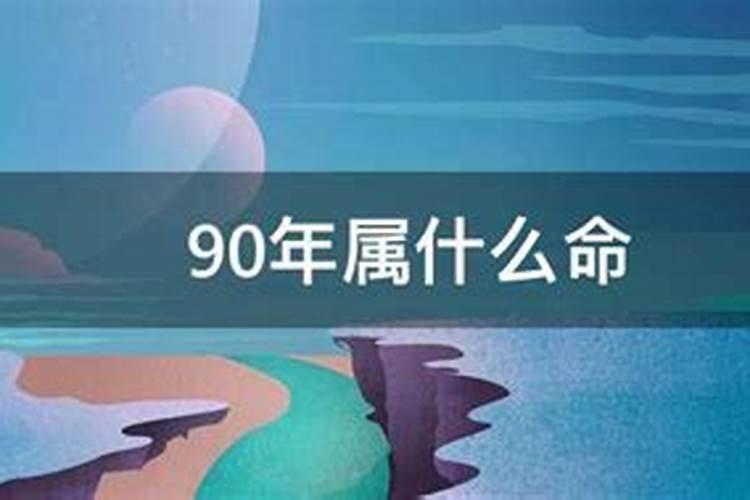 生于1990年的属什么