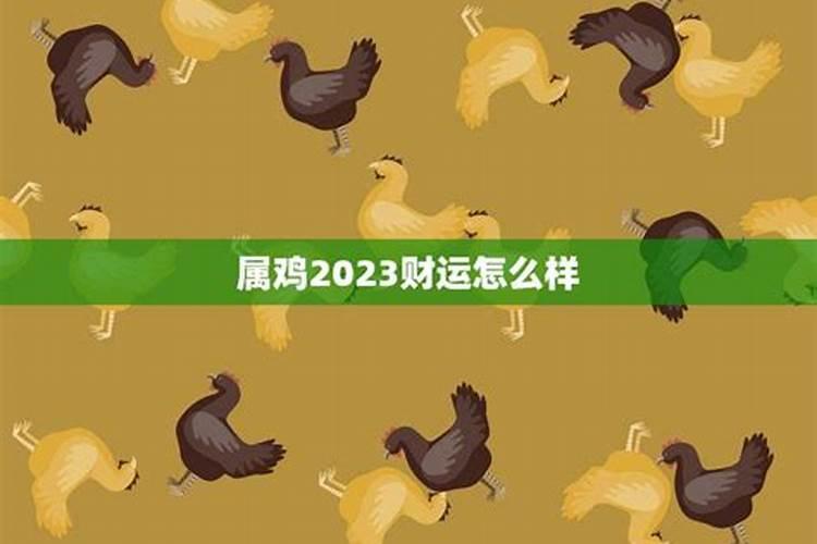 属鸡明年2023运势如何