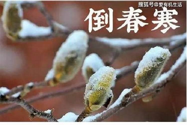 今年几月几号立春倒春寒是什么意思