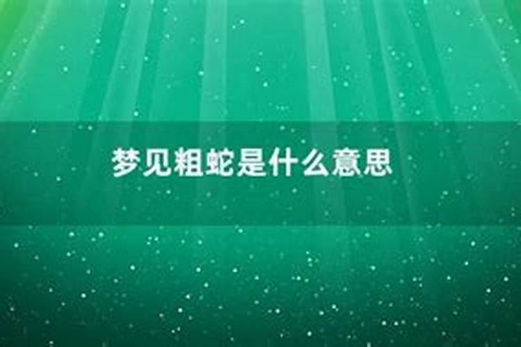 老年人梦到大蛇预示着什么