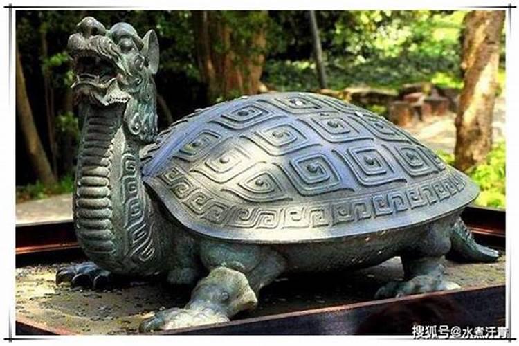 梦见石龟身上有一块石碑
