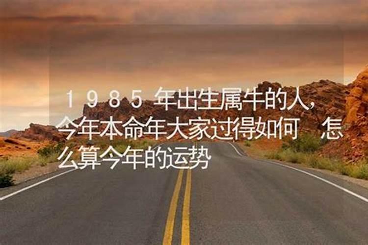 命理八字有关概念