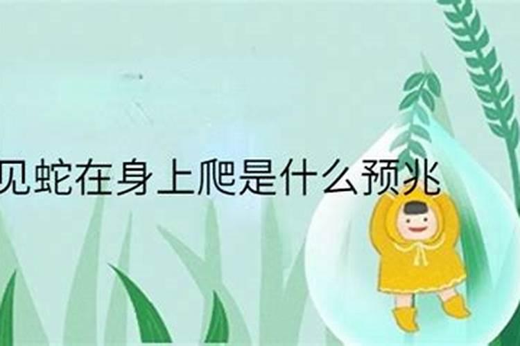 梦见蛇吸我血是什么意思