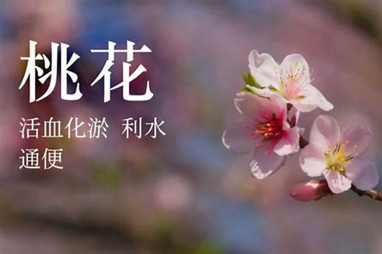 命理有桃花能带来什么