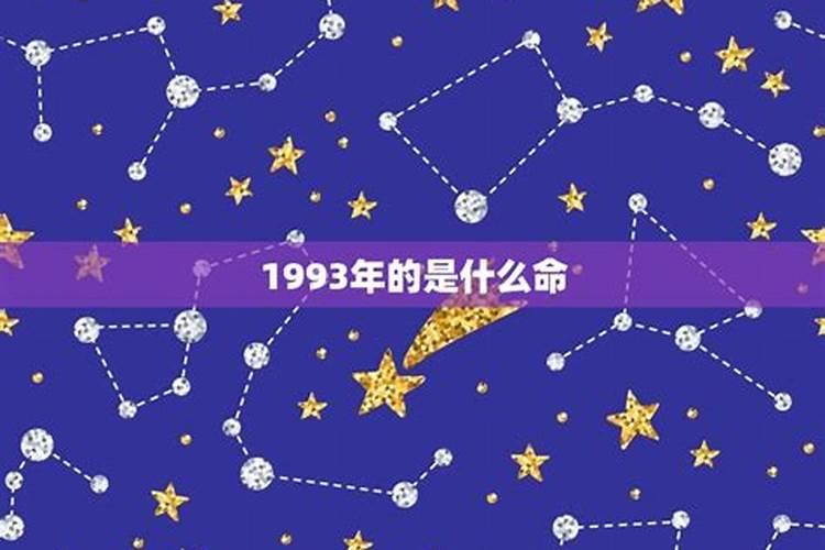 1993年每个月的五行表