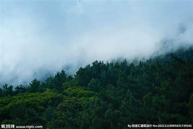 梦见大山雾气