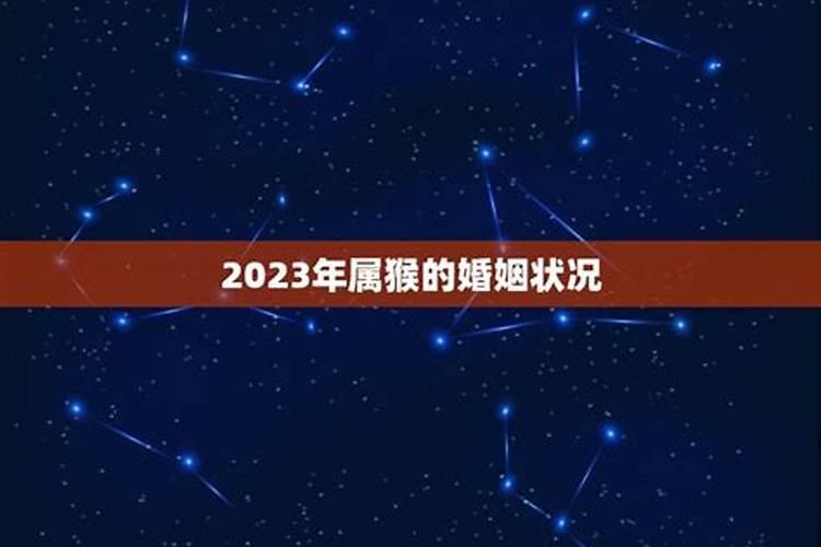 2023年属猴的运气和婚姻状况