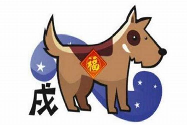 属狗今年会发生什么