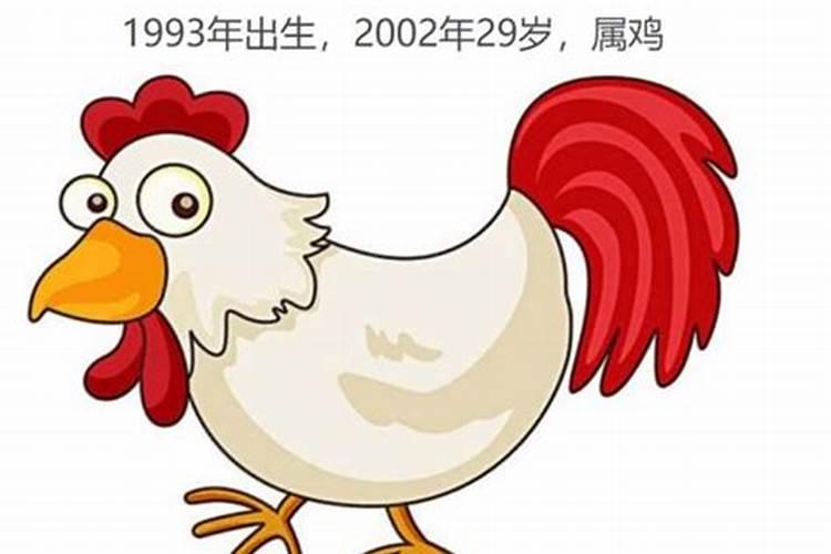 2003年属鸡的多大年龄