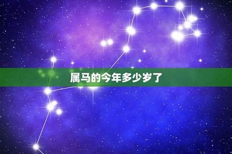 属马的2021年今年多少岁啦