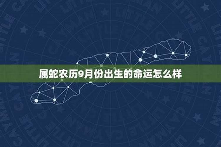 属蛇农历9月份出生的命运怎么样