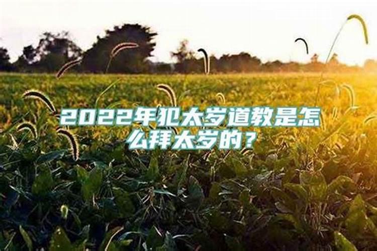 属蛇的在2024年运势和财运