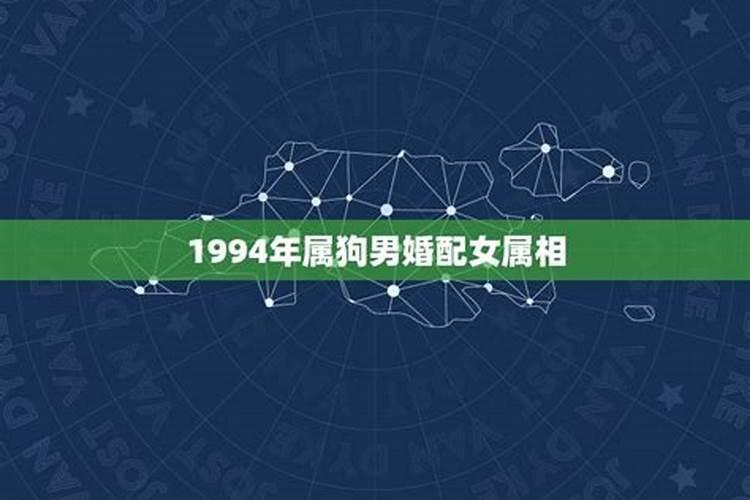 1994年婚配有哪些属相配对